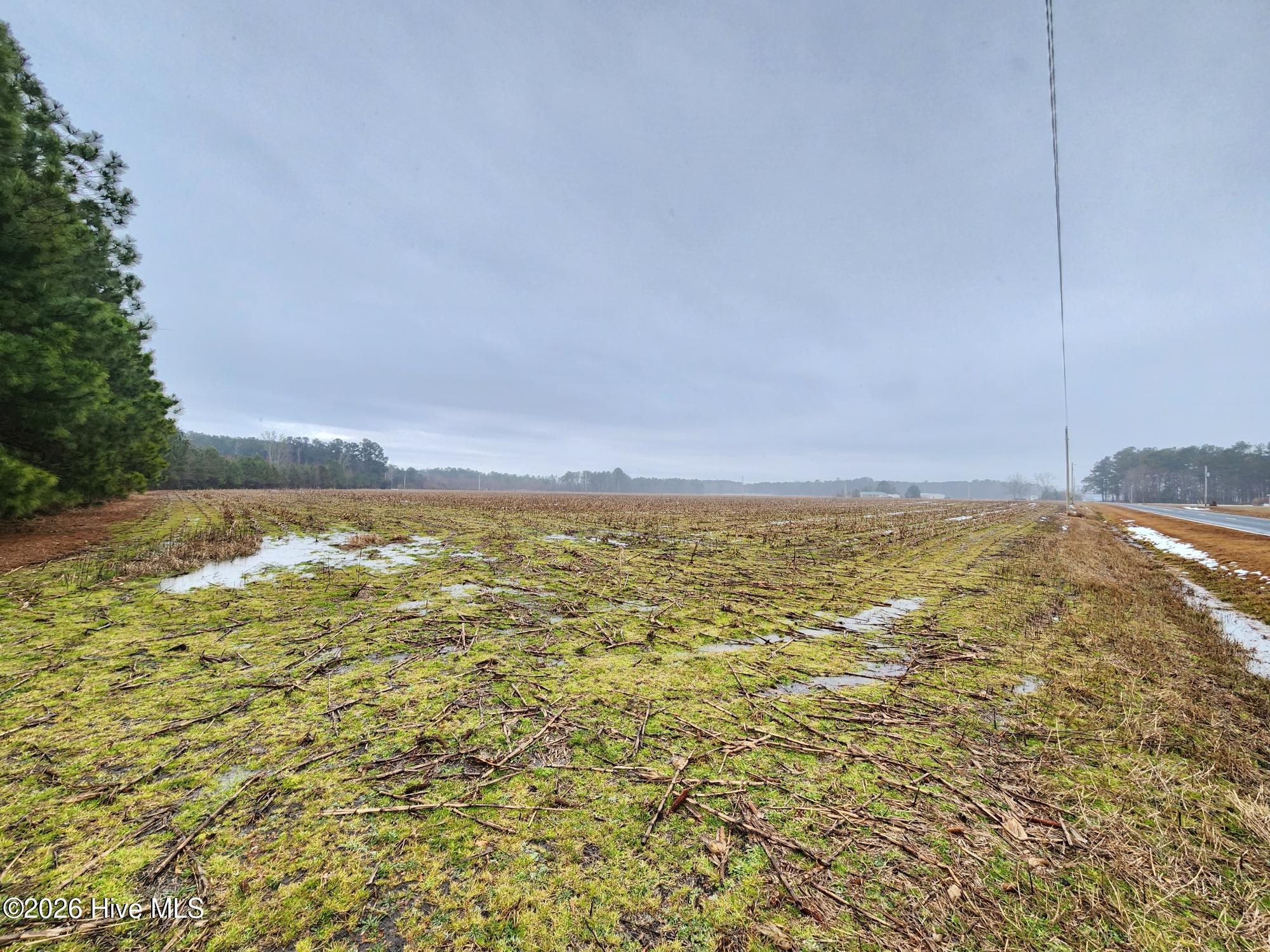 Tbd Ramsey Ford Road Tabor City, NC 28463 - Photo 6 of 13 10