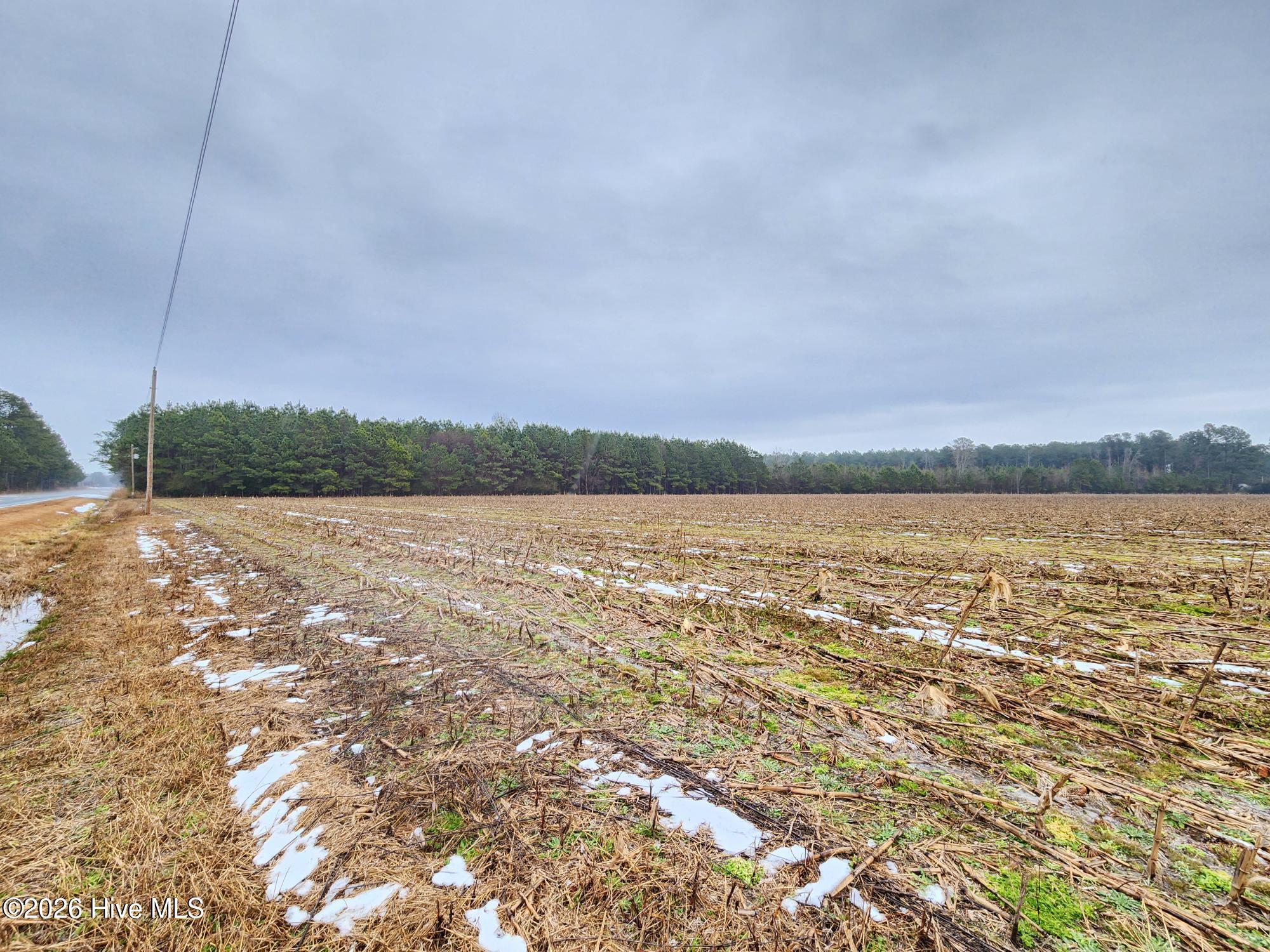 Tbd Ramsey Ford Road Tabor City, NC 28463 - Photo 8 of 13 4