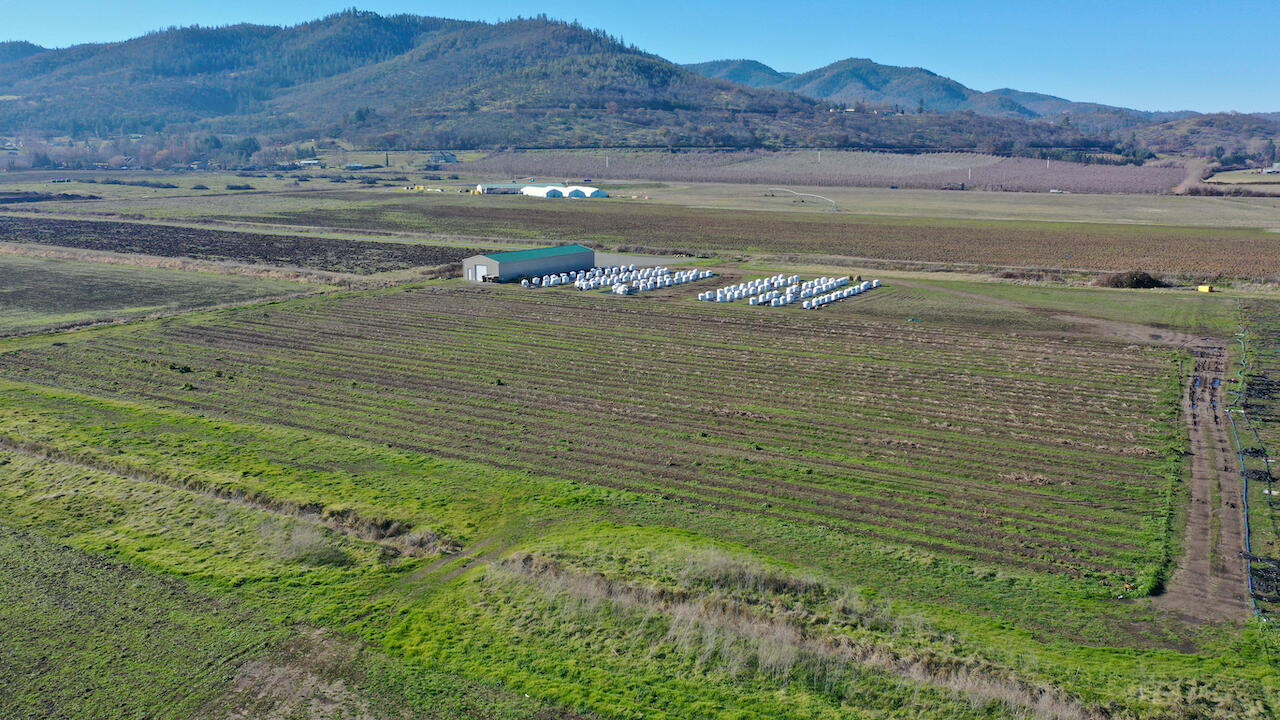 794 Hartley Road Phoenix, OR 97535 - Photo 7 of 10 4576DD6F23E23730C7413E74F26364AF