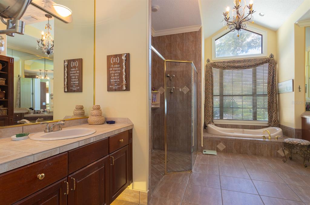 1640 Southeast 91st Place Ocala, FL 34480 - Photo 23 of 66 a bathroom with a tub a sink and a mirror