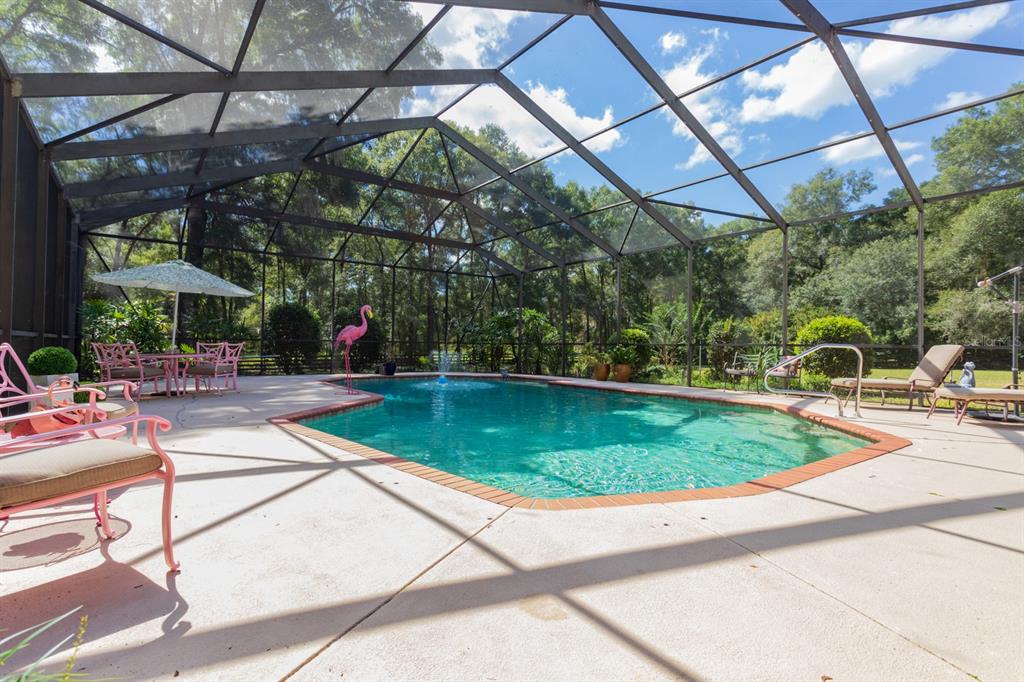 1640 Southeast 91st Place Ocala, FL 34480 - Photo 48 of 66 a view of a swimming pool with a patio