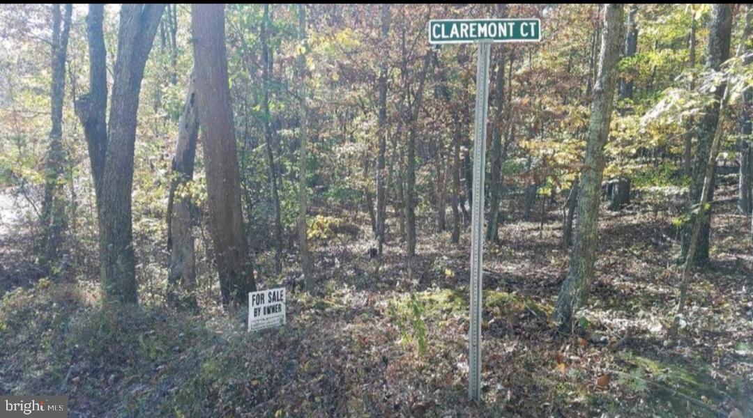 13 Rear Wv Rt Berkeley Springs Berkeley Springs, WV 25411 - Photo 3 of 3