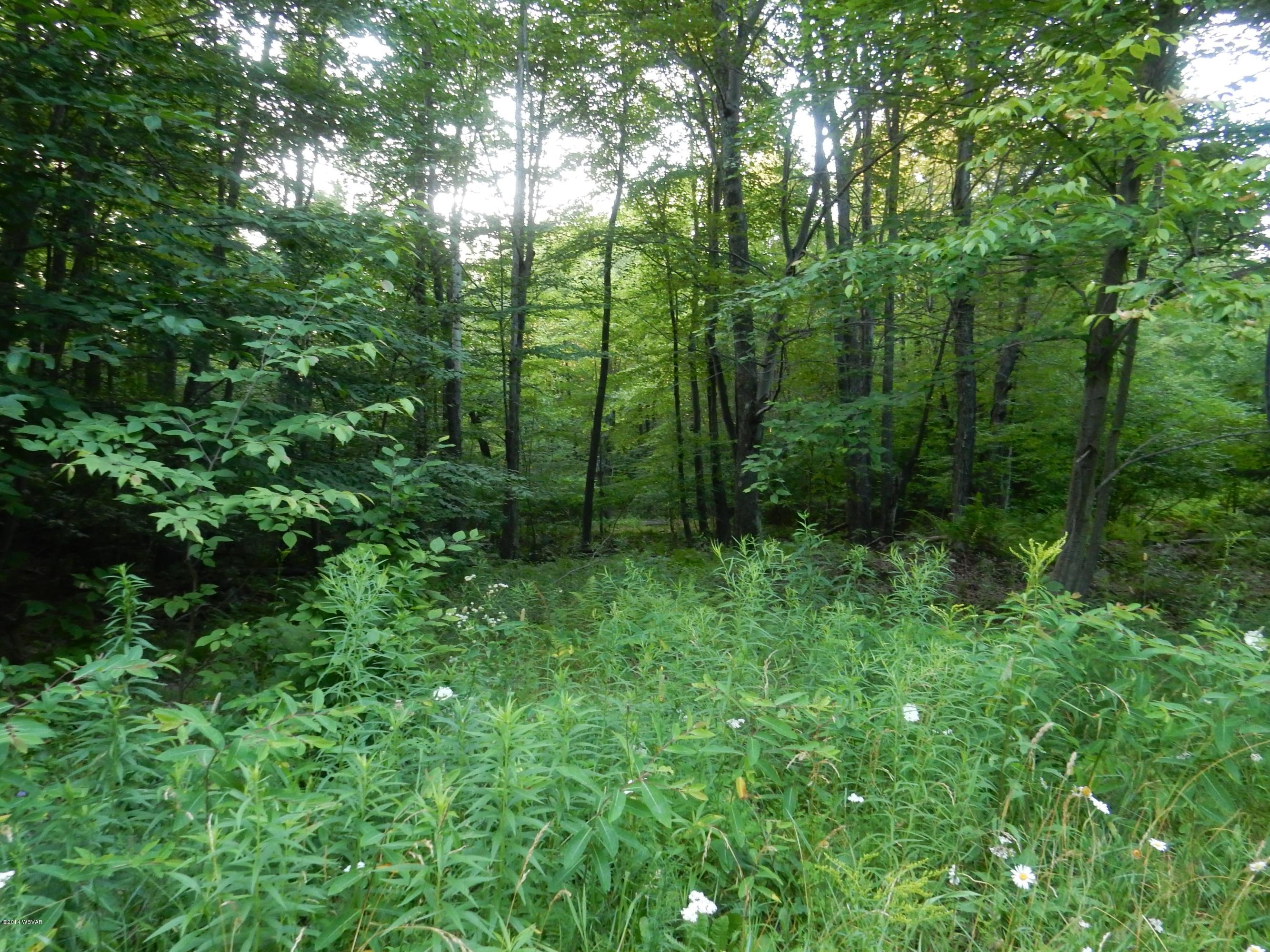 26 Stansfield Road Dushore, PA 18614 - Photo 2 of 2 maurtz land lost lake 001