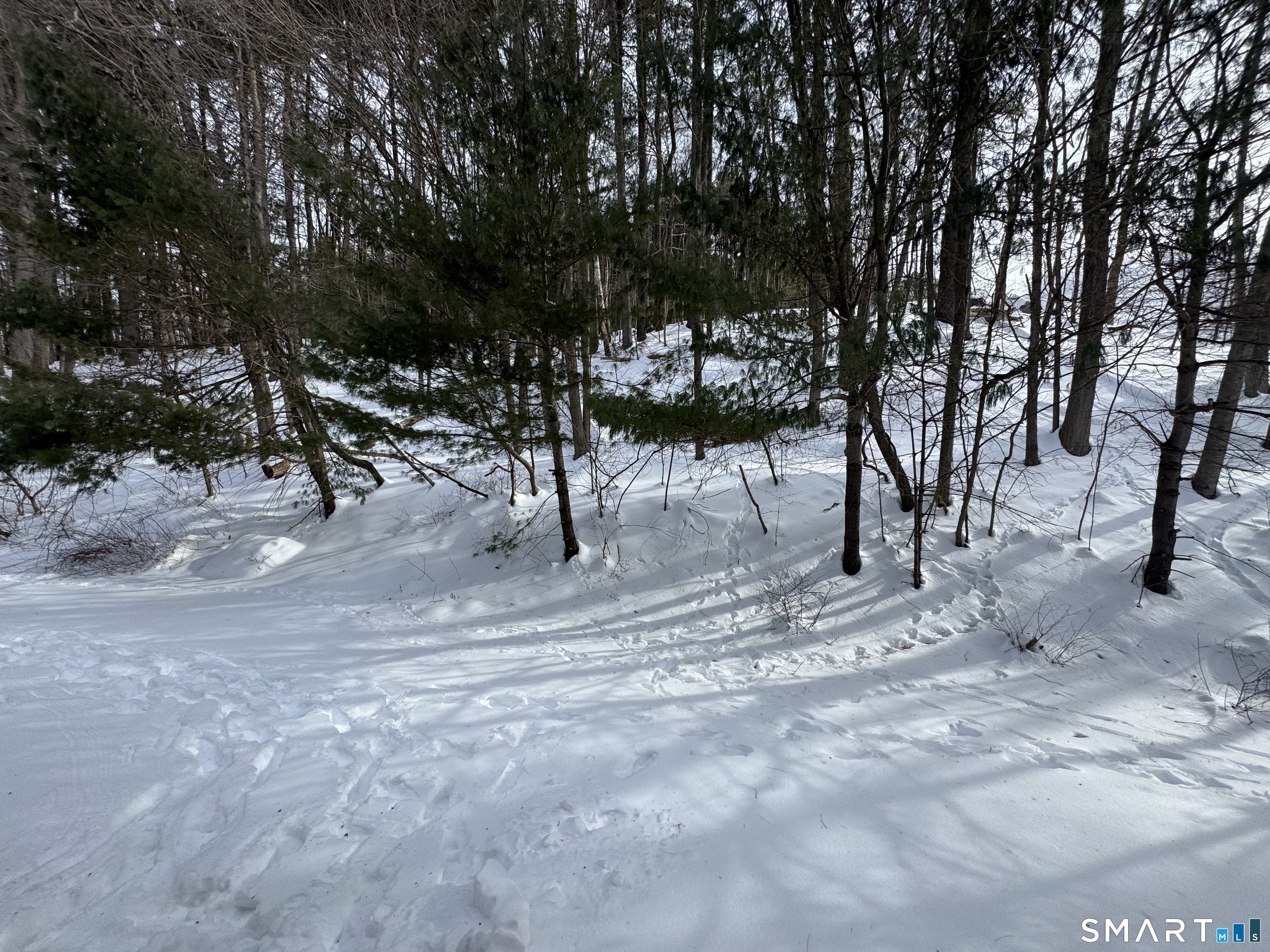 39 Horton Hill Road, Unit 10I Naugatuck, CT 06770 - Photo 17 of 17