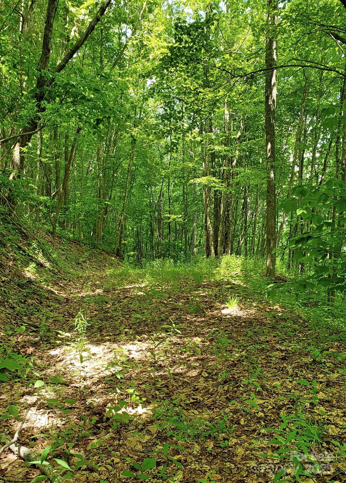 1111 East Clubhouse Road Sylva, NC 28779 - Photo 2 of 6 a view of outdoor space with deck and yard