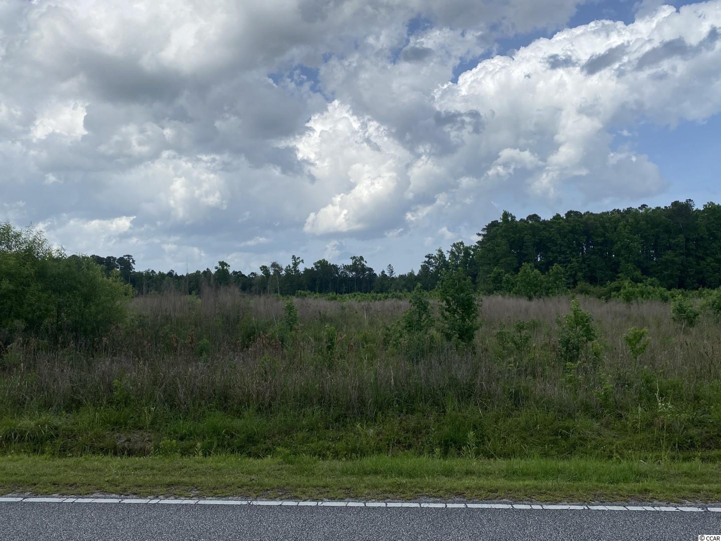 Lot 4 Berley Mc Road Conway, SC 29526 - Photo 1 of 5 Gallery Image 1