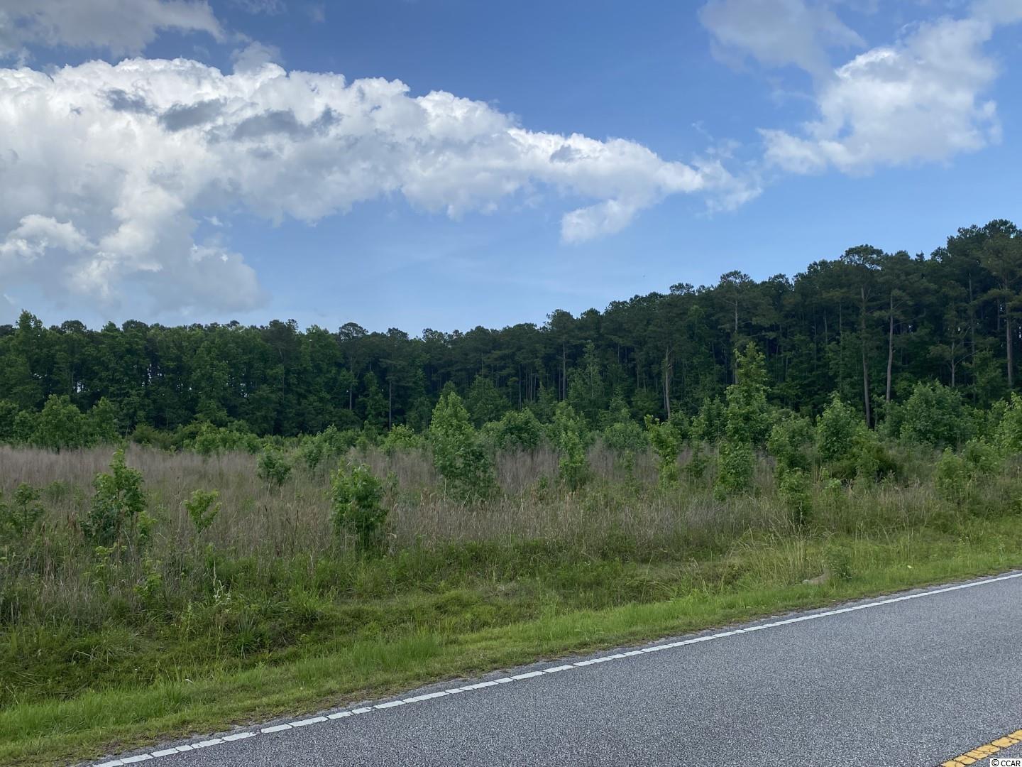 Lot 4 Berley Mc Road Conway, SC 29526 - Photo 2 of 5 Gallery Image 2