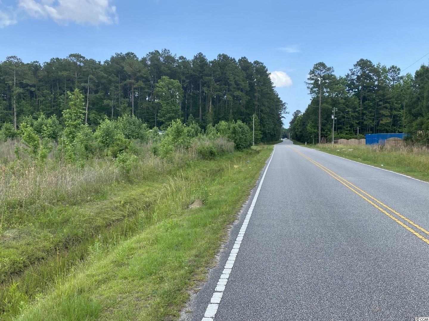 Lot 4 Berley Mc Road Conway, SC 29526 - Photo 4 of 5 Gallery Image 4