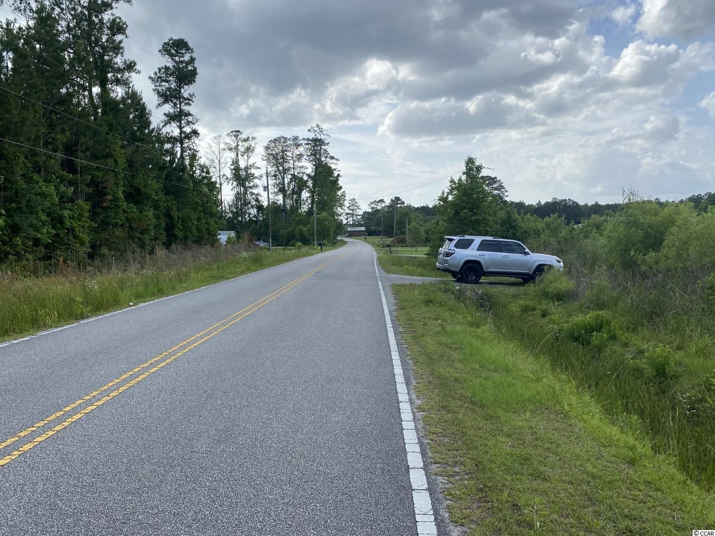 Lot 4 Berley Mc Road Conway, SC 29526 - Photo 5 of 5 Gallery Image 5
