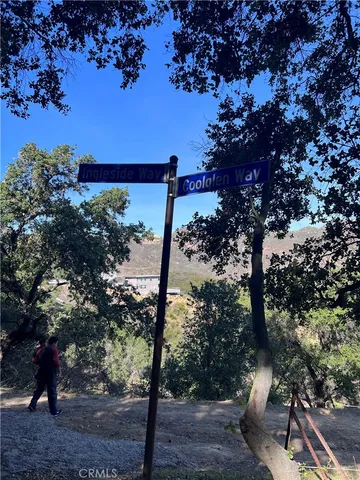 a view of a tree with a yard