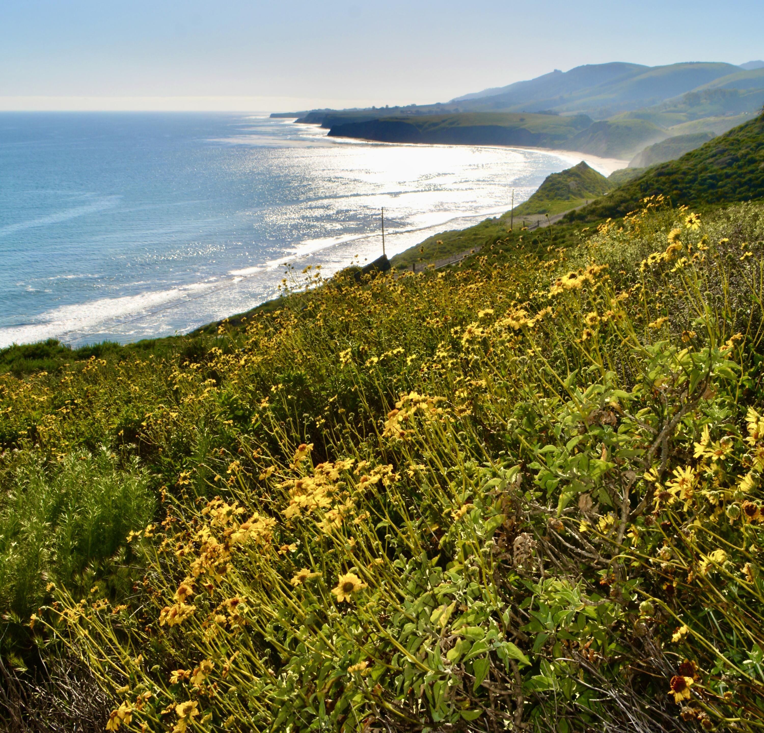21 Hollister Ranch Road Lompoc, CA 93436 - Photo 3 of 31 a view of an ocean from a beach