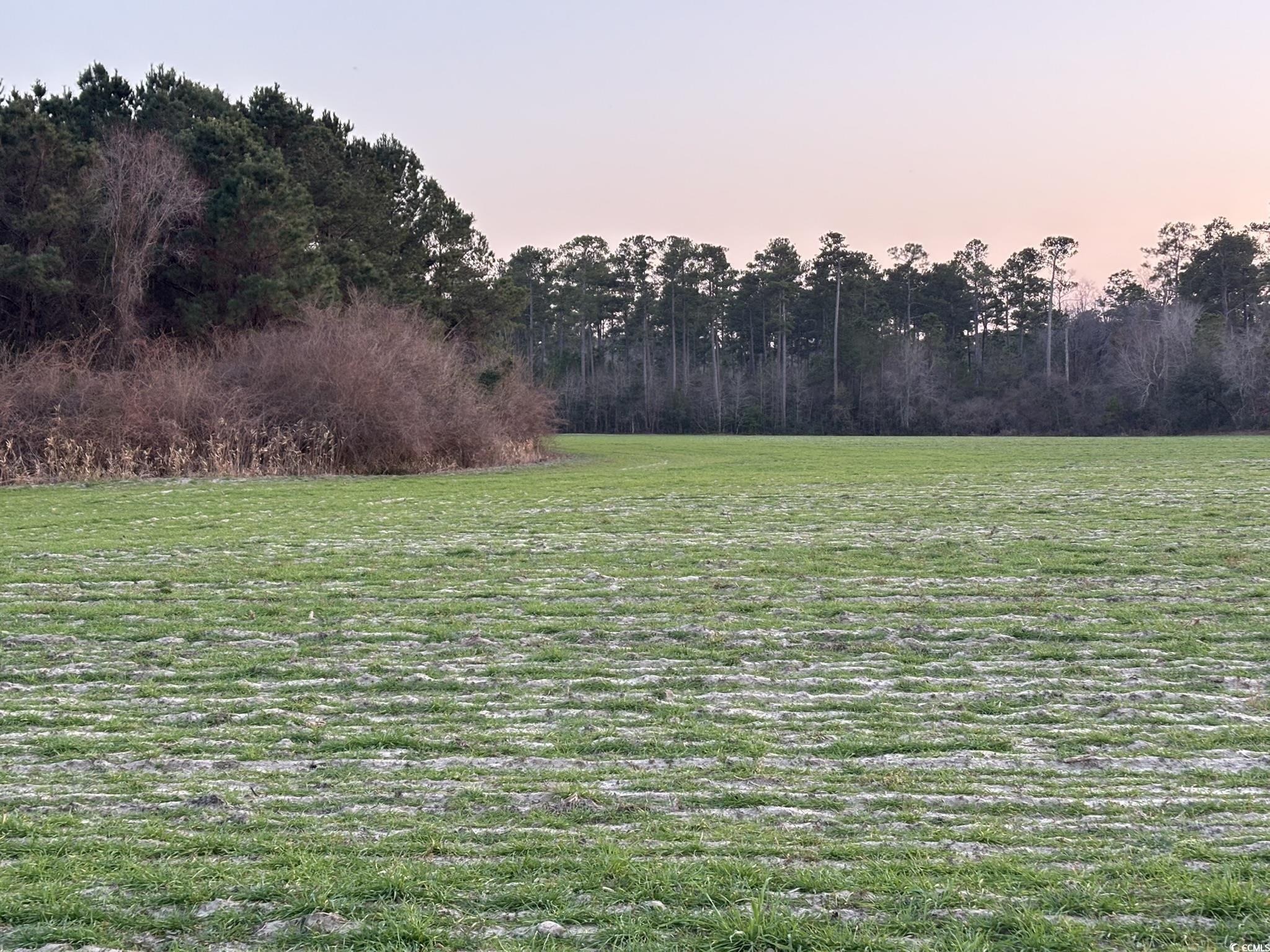 300 Clio Road Loris, SC 29569 - Photo 9 of 10 Water view