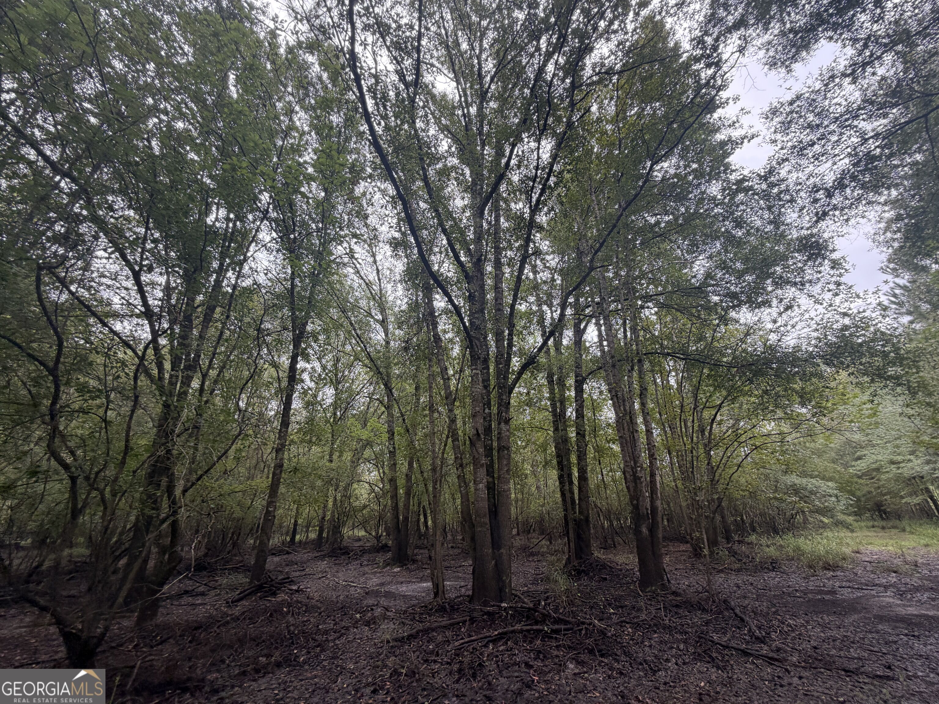 0 Jamestown Road Waycross, GA 31503 - Photo 82 of 92 Gallery Image 82