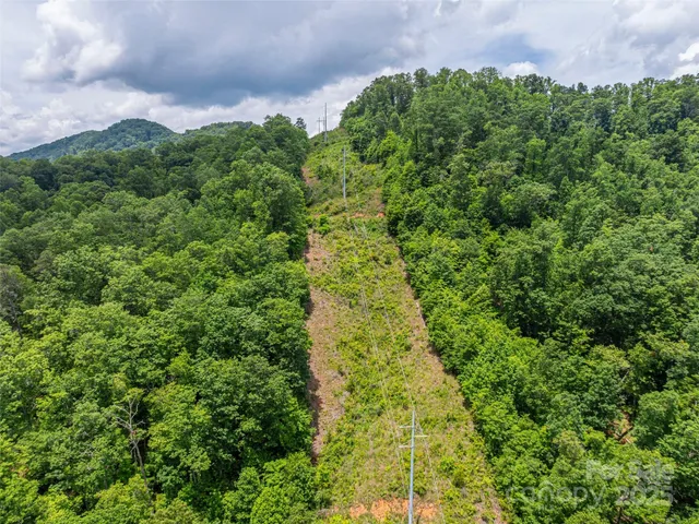 a view of a garden with plants