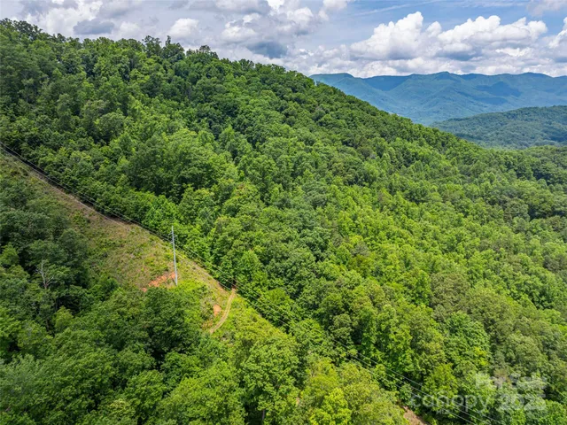 a view of a large yard with lots of green space