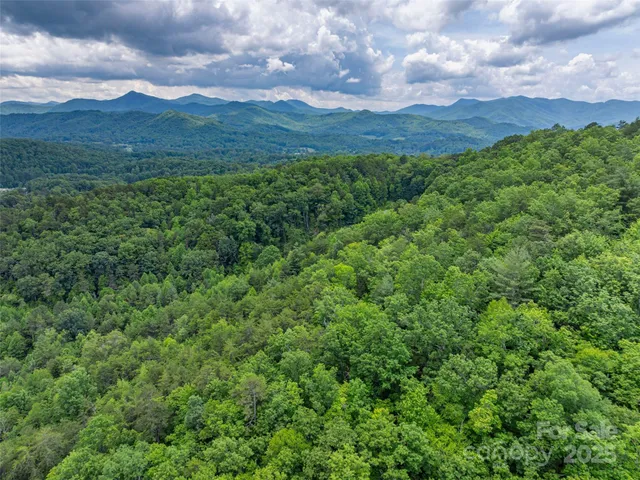a view of a lush green forest with houses in the back