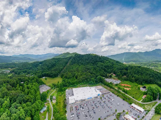 a view of a city with lush green forest