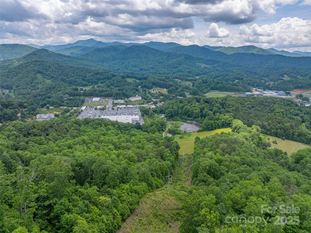 a view of a city with lush green forest