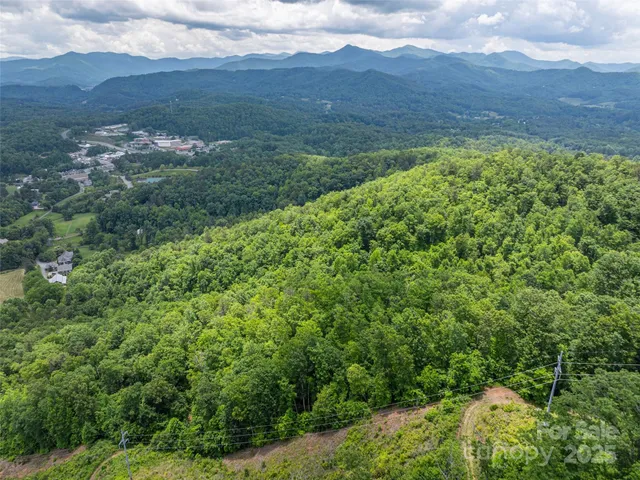 a view of a lush green hillside and a mountain