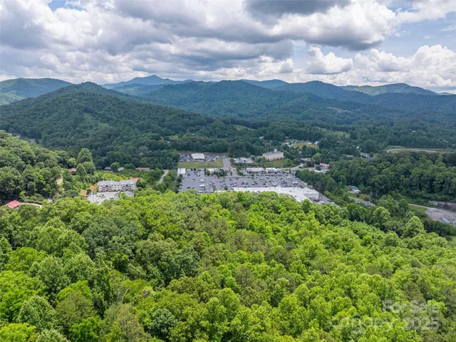 a view of a lush green hillside and houses