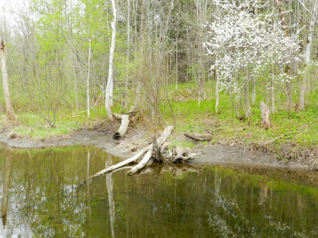 0 Stage Road St. Albans, ME 04971 - Photo 15 of 15 Photo