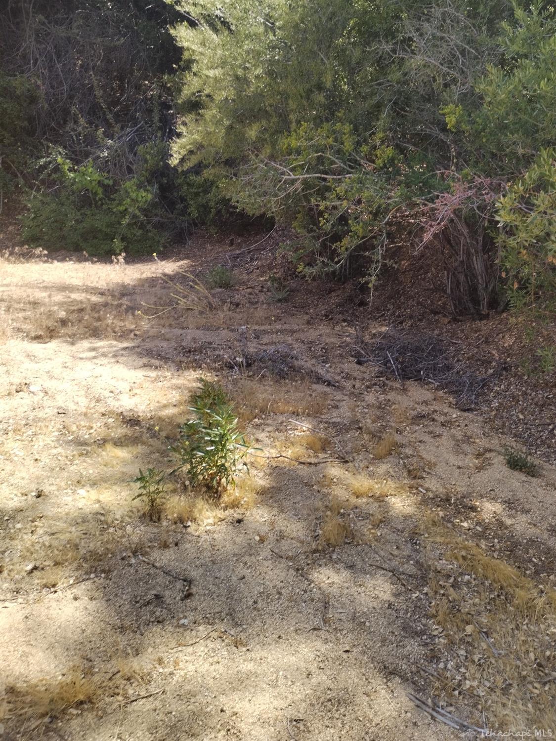 0 Pine Spring Road Caliente, CA 93518 - Photo 28 of 34 Gallery Image 28