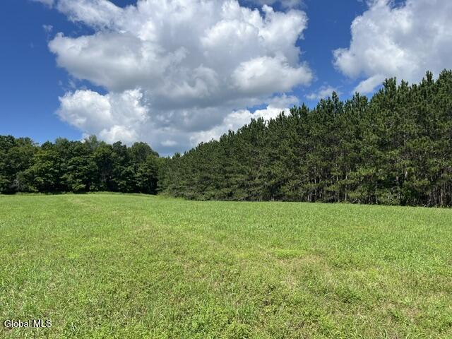 359 Baldwin Road Summit, NY 12093 - Photo 20 of 22 Site View 9