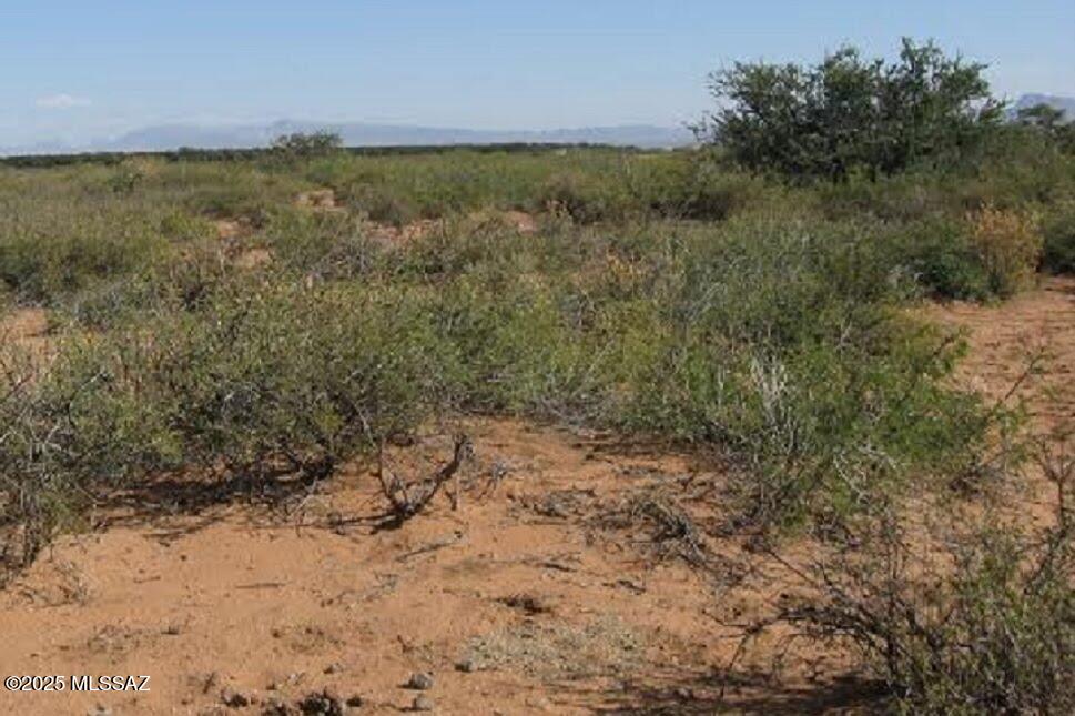 13-ac Apache Pass Road Bowie, AZ 85605 - Photo 6 of 6