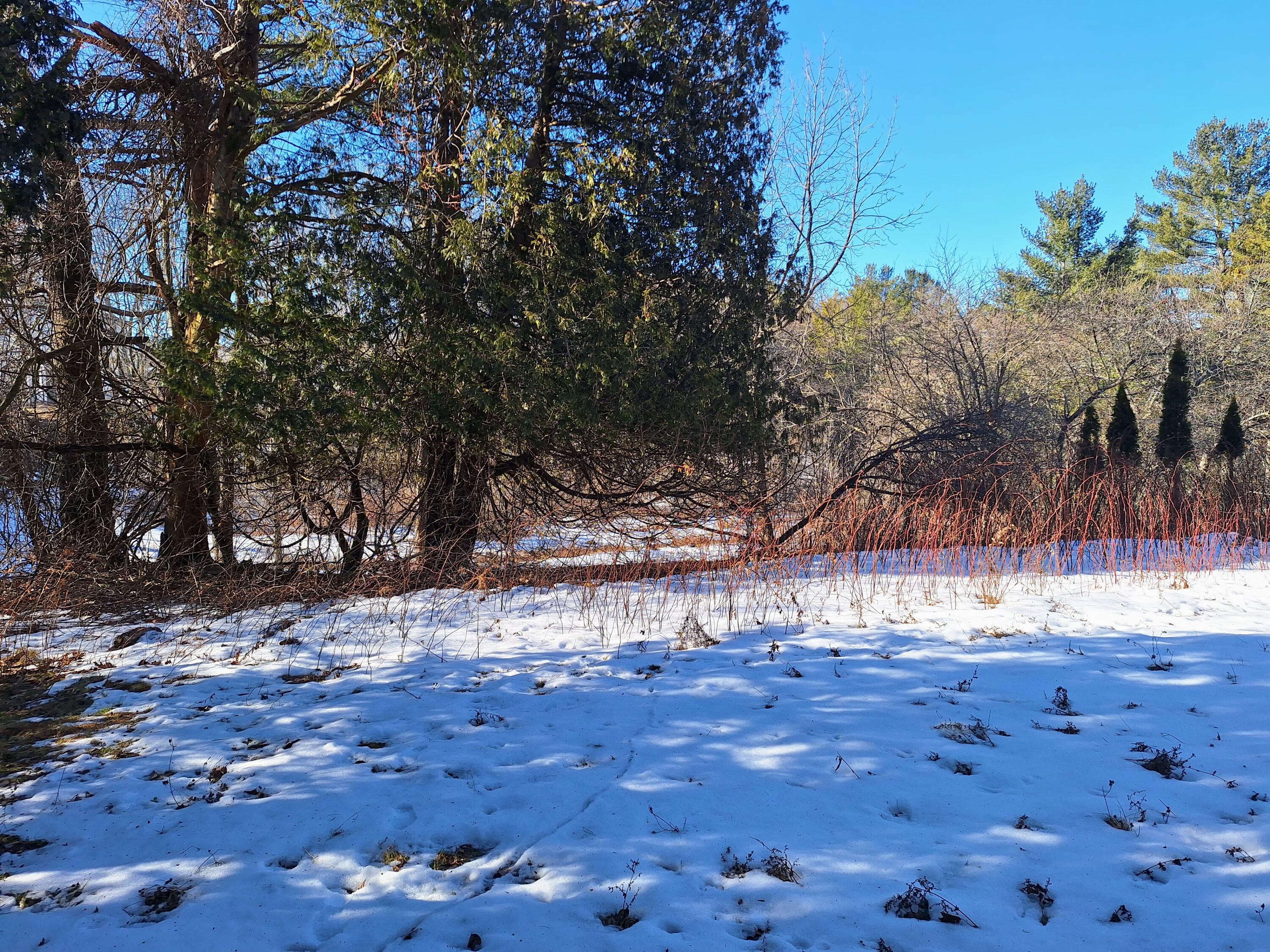 18 Gray Road Falmouth, ME 04105 - Photo 8 of 33 18 Gray Rd