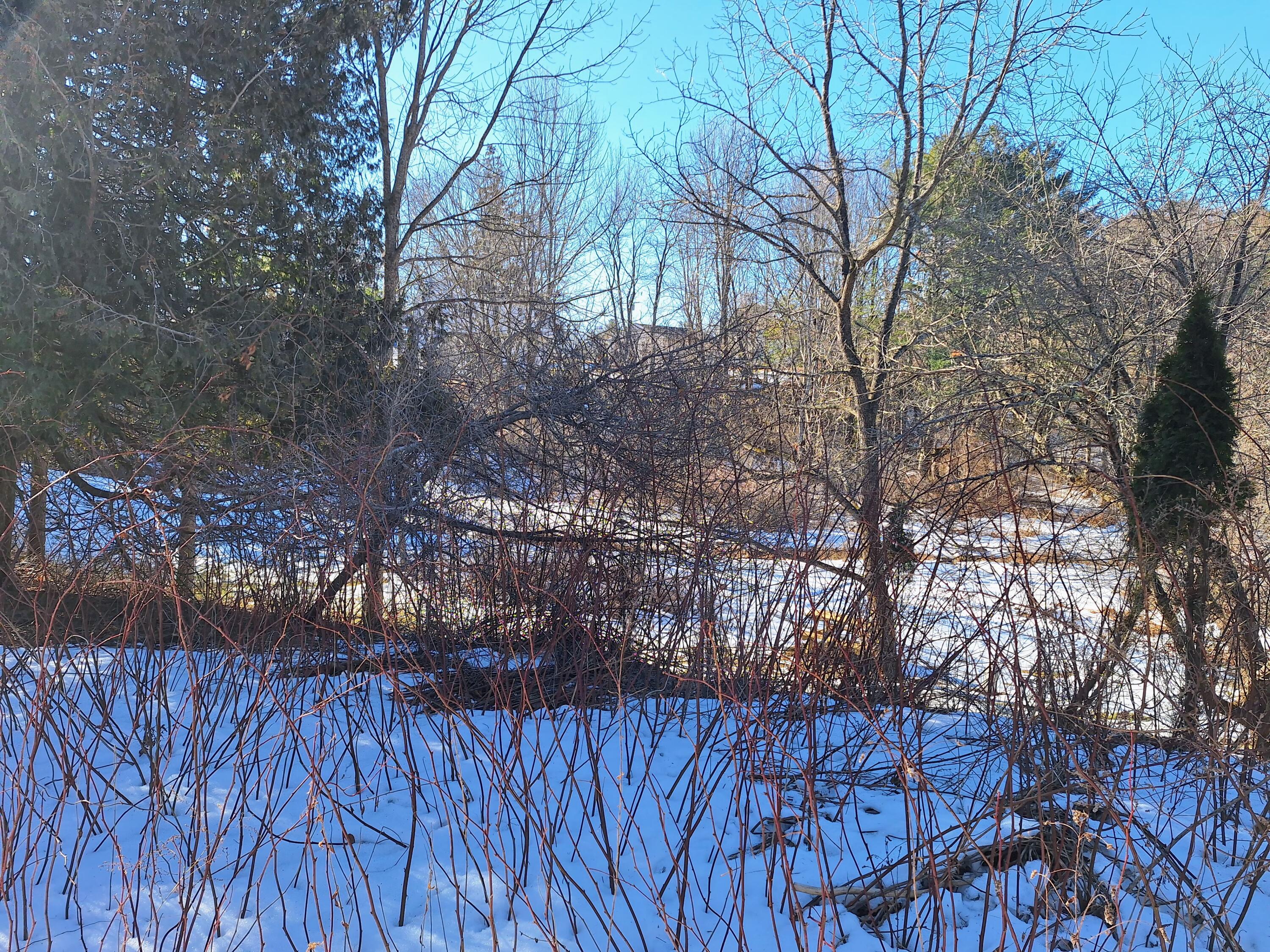 18 Gray Road Falmouth, ME 04105 - Photo 9 of 33 18 Gray Rd