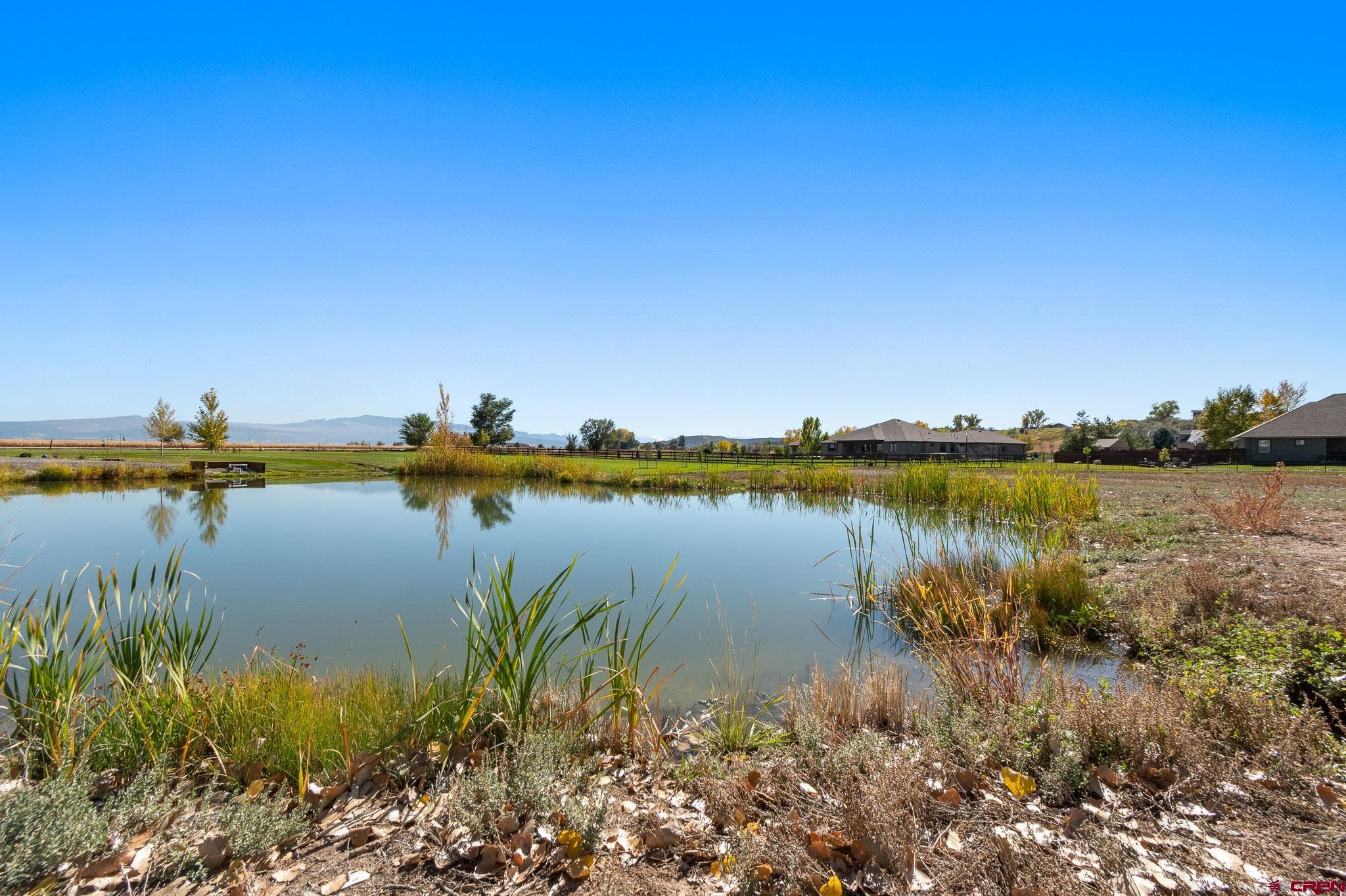 63242 Pearl Road Montrose, CO 81403 - Photo 10 of 14