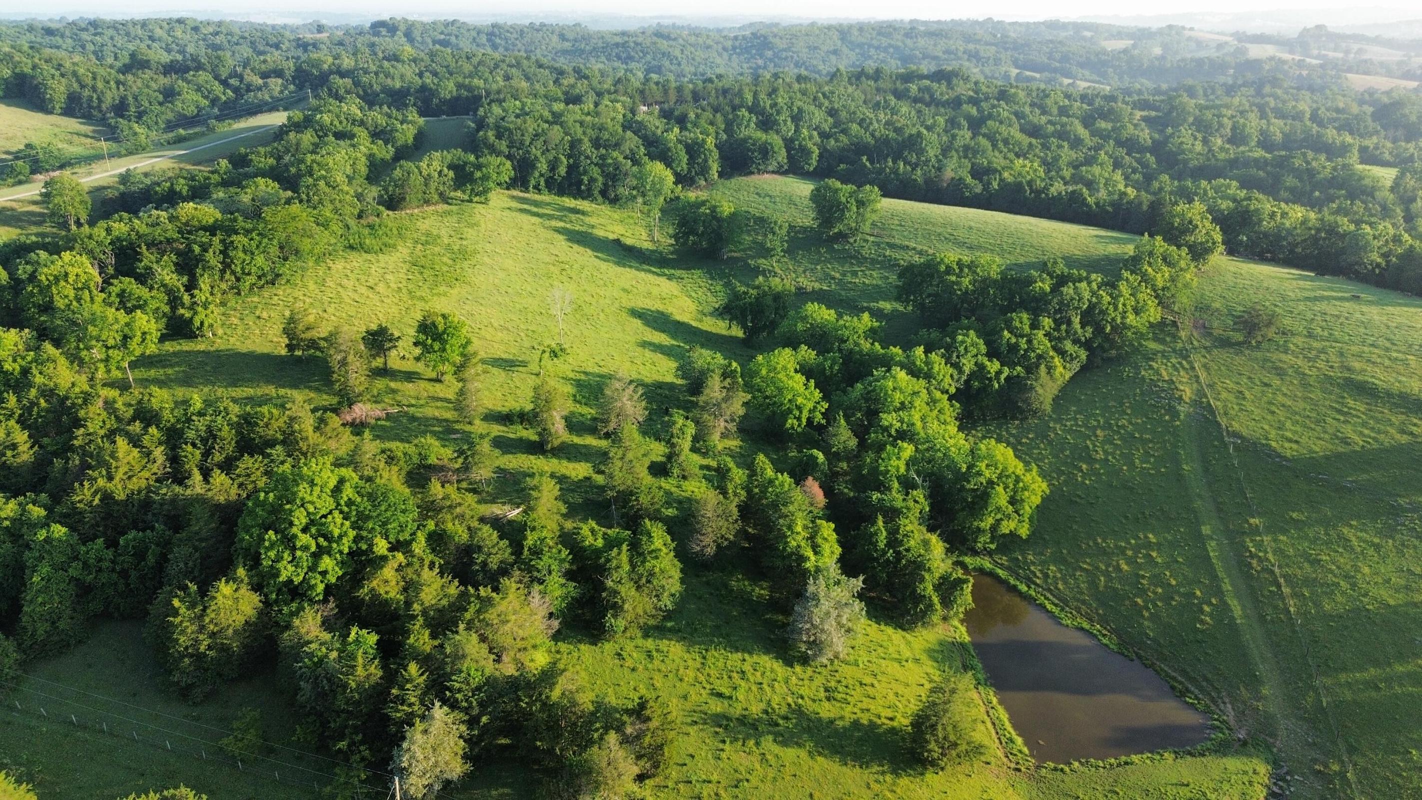 180 Ceder Road Owingsville, KY 40360 - Photo 47 of 50 97