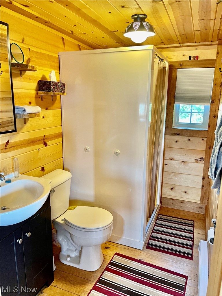 43188 Krieg Road New Matamoras, OH 45767 - Photo 15 of 35 Bathroom featuring vanity, wooden ceiling, mirror, wood walls, and light hardwood flooring