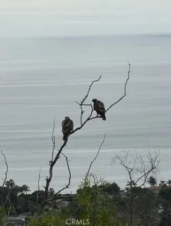 $5,195,000 | 1413 Vía Castilla, Palos Verdes Estates, CA 90274