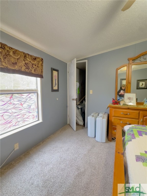 124 Pinebark Road Hortense, GA 31543 - Photo 33 of 41 Gallery Image 33