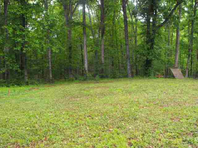 125 Stevenson Road Starr, SC 29684 - Photo 3 of 15