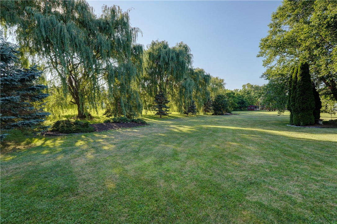 4446 Federal Road Livonia, NY 14487 - Photo 26 of 31 Private Backyard