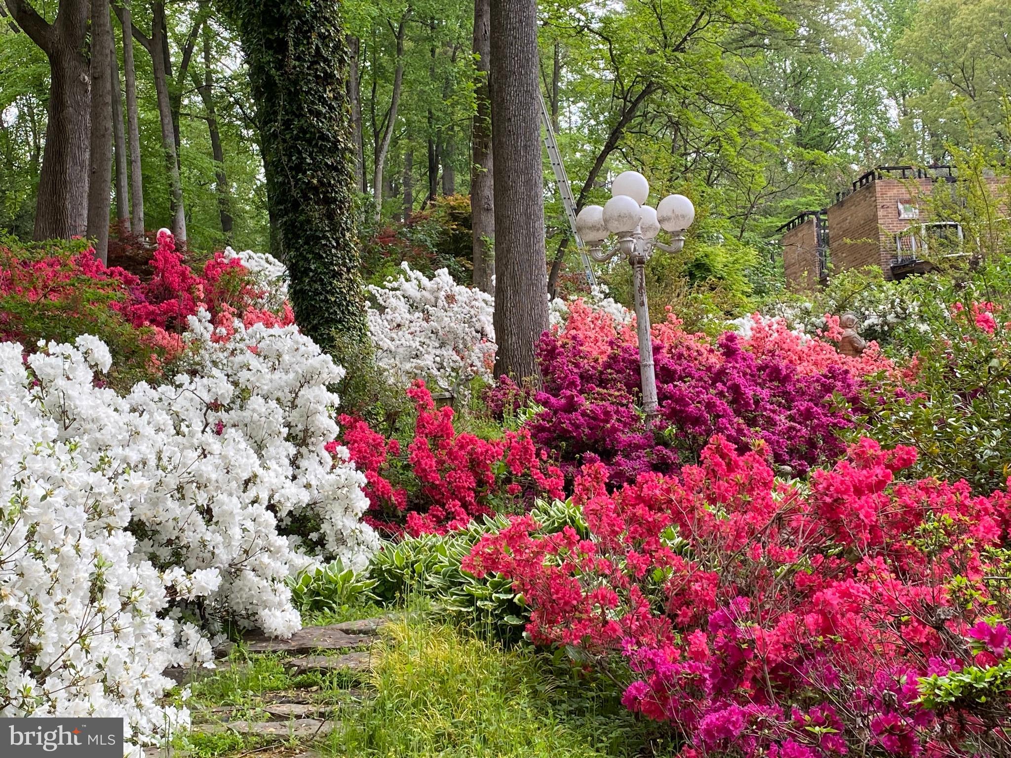 212 Bryants Nursery Road Silver Spring, MD 20905 - Photo 44 of 60