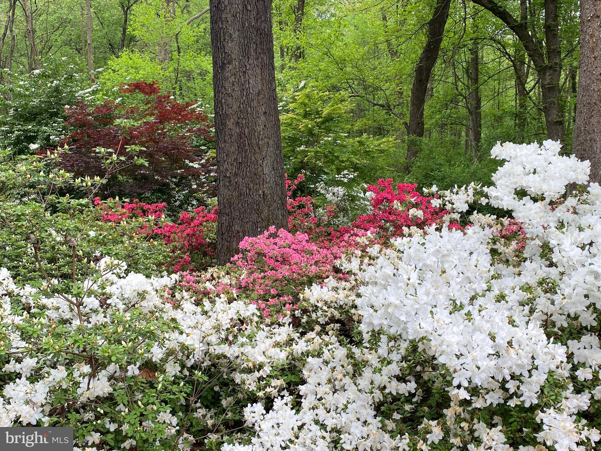 212 Bryants Nursery Road Silver Spring, MD 20905 - Photo 50 of 60