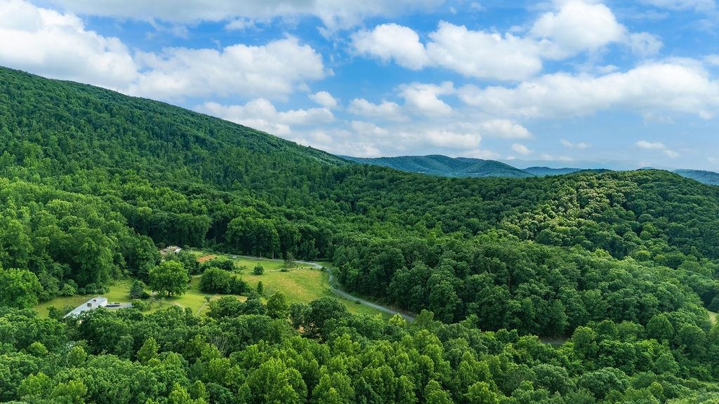 Tbd Calf Mountain Road Waynesboro, VA 22980 - Photo 7 of 36