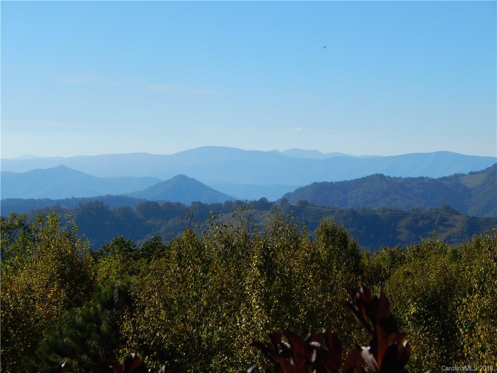 259 Windswept Ridge Road, Unit 11 & 12 Leicester, NC 28748 - Photo 2 of 23