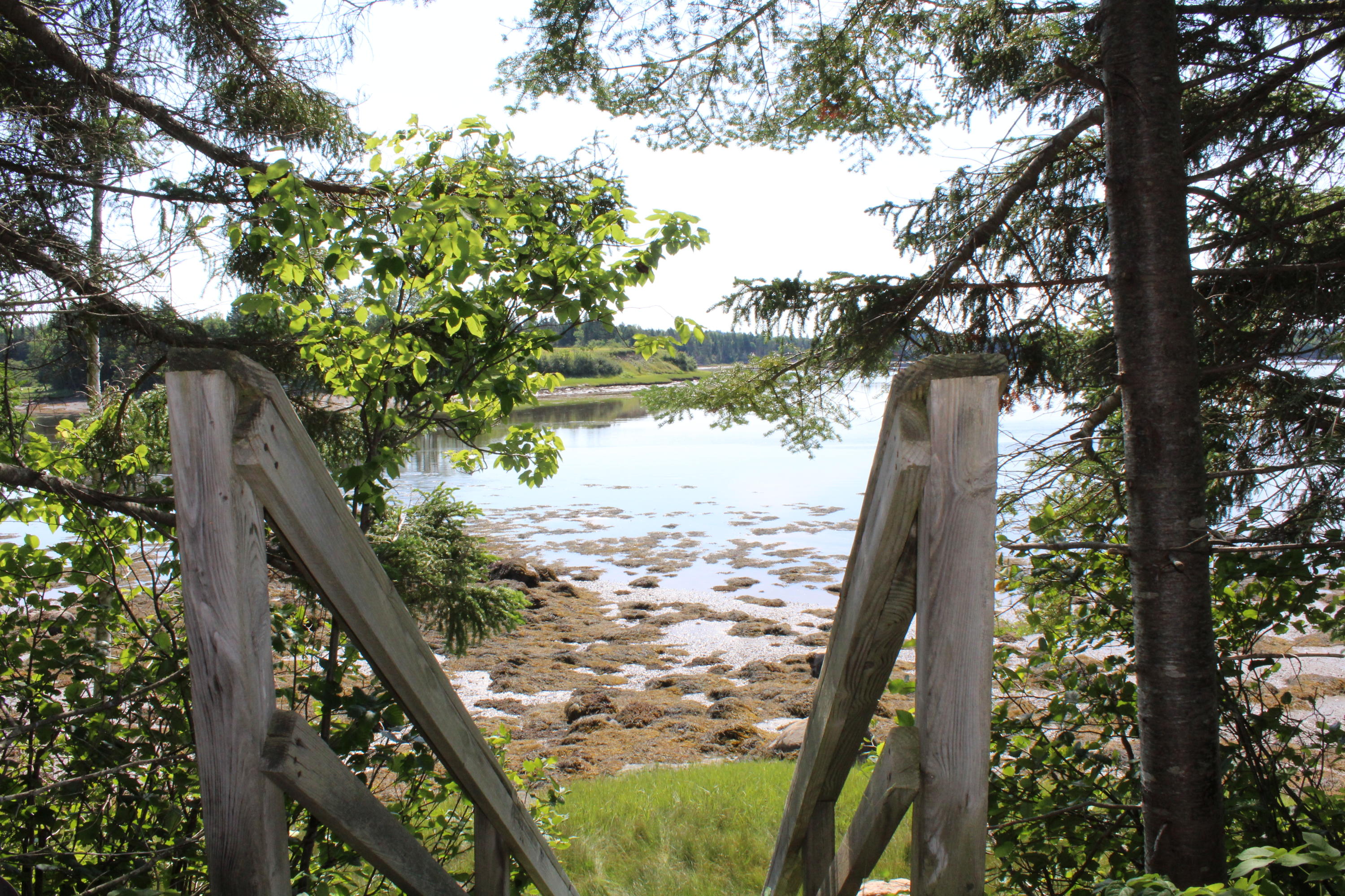 262 Looks Point Road Jonesboro, ME 04648 - Photo 14 of 118 IMG_5606