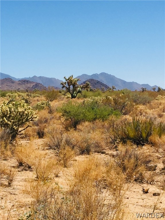 0 East Holiday Road Yucca, AZ 86438 - Photo 13 of 15