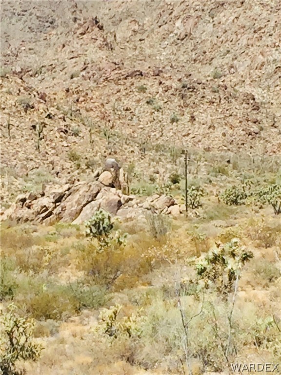 0 East Holiday Road Yucca, AZ 86438 - Photo 15 of 15