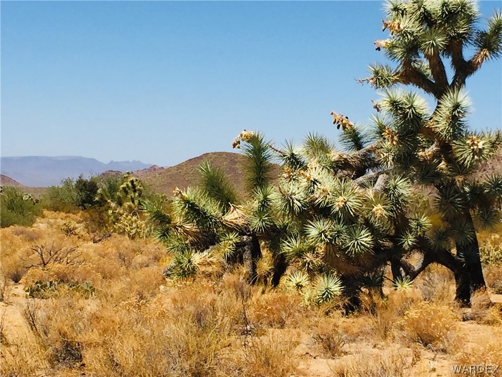 0 East Holiday Road Yucca, AZ 86438 - Photo 2 of 15 a view of a yard