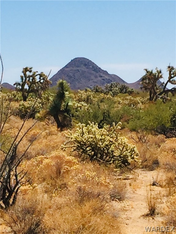 0 East Holiday Road Yucca, AZ 86438 - Photo 4 of 15 a view of a dry yard