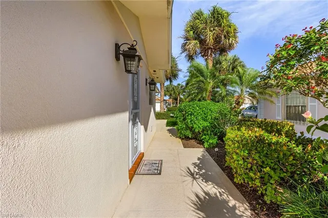 a view of a yard with plants