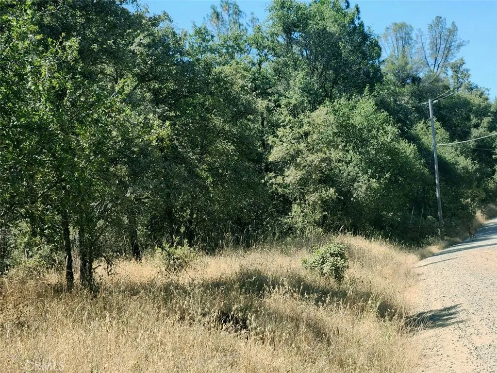 0 Texas Hill Road Oregon House, CA 95962 - Photo 23 of 33
