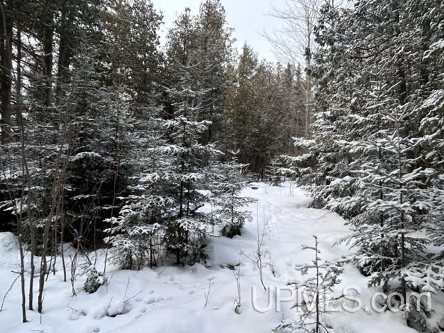 Parcel A Bootjack Road Lake Linden, MI 49945 - Photo 10 of 43 Gallery Image 10