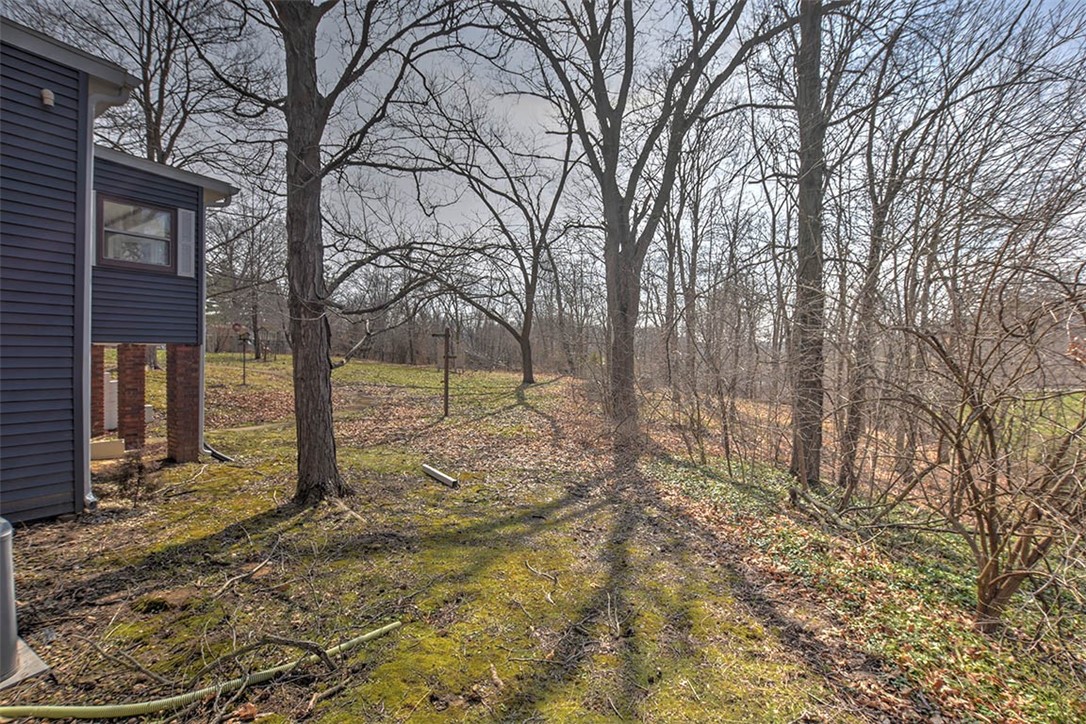 3315 Mount Zion Road Decatur, IL 62521 - Photo 25 of 28 a view of a yard with large trees